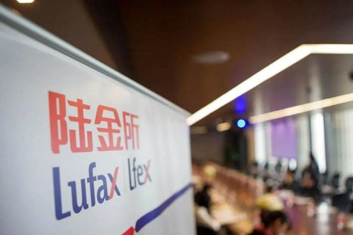 陆金所上市背后 金融科技独角兽的金融中介本质